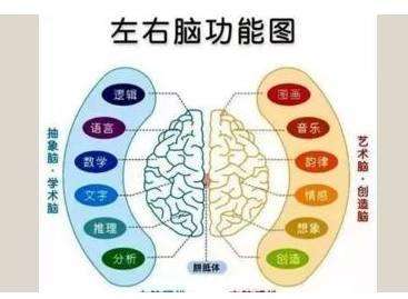 经颅磁刺激仪多少钱一台?老人脑萎缩常见原因是什么